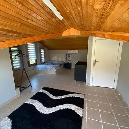 New Decorated Villa In Goecek *